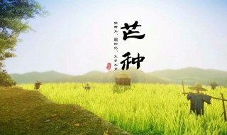 什么时候芒种（明年什么时候芒种）