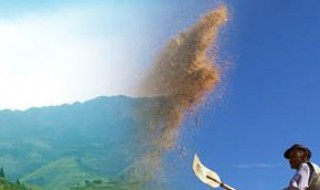 芒种这首歌有什么深层含义 芒种歌词跟芒种有什么关系