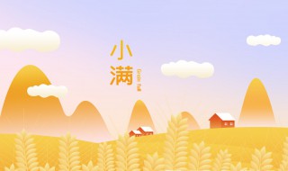 人生如小满是表达什么意思（人生最好是小满是什么意思）