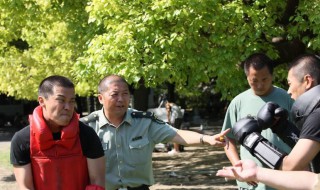 徐佳演过的电影 徐佳演过的电影大山