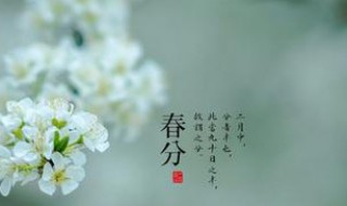 春分节气需要注意什么（春分节气需要注意什么事项）