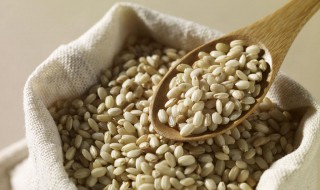 米糠的营养成分（米糠的营养成分表100克）