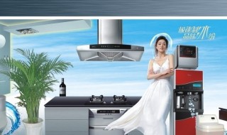 美的电压力电子原件的名称 美的电压力电子原件的名称是