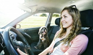 什么是玻璃险 什么是玻璃险保险