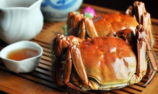 大闸蟹苦是怎么回事（大闸蟹 发苦）