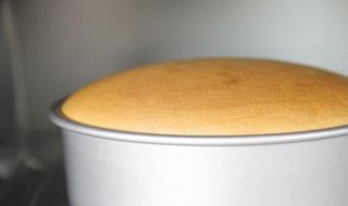 家庭版蒸蛋糕的做法 家庭版蒸蛋糕的做法视频