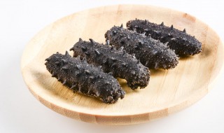 海参怎么吃有营养 半干海参怎么吃有营养