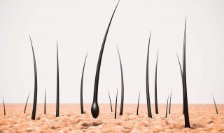 头发没有营养怎么办 头发没有营养怎么回事