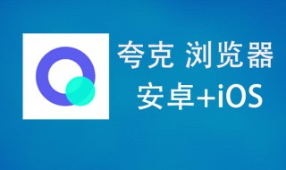 如何在夸克上下载网盘文件（夸克网盘怎么打开文件）