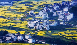 清明节去哪里踏青（清明节去哪里踏青好北京）