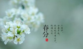 惊蛰后面是什么节气 惊蛰前面的节气是啥