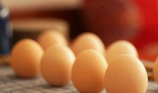 春分立鸡蛋是什么意思 春分立鸡蛋是什么意思啊