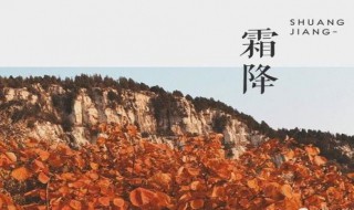 霜降不宜做什么 霜降适合做什么