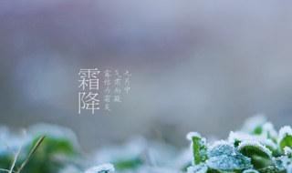 霜降是秋季最后一个节气吗 霜降是秋天最后一个节气吗