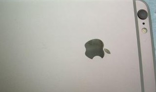 苹果八plus掉水里了开不了机怎么办（苹果8plus掉水里开不了机怎么办）