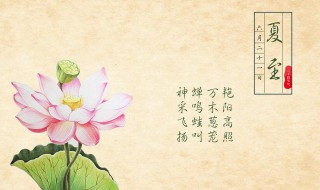 夏至的代表寓意（夏至的代表寓意和象征）