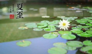 夏至有什么活动 夏至有什么活动吗