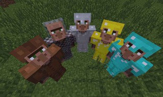 我的世界村民怎么找（我的世界村民怎么找指令）