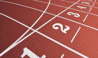 职业体育推广与发展的前提是什么（职业体育推广与发展的前提是什么呢）