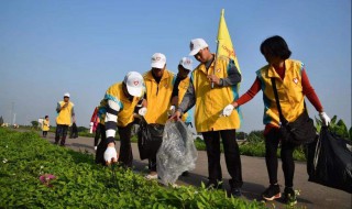 捡垃圾的宣传标语（捡垃圾的宣传标语广告牌）