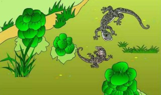 壁虎进家里有什么迷信（壁虎进家里有什么迷信说法）