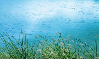 春分下雨意味着什么 春分下雨是什么意思