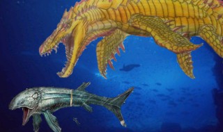 方舟手游利兹鱼怎么训（手机版方舟利兹鱼怎么训）