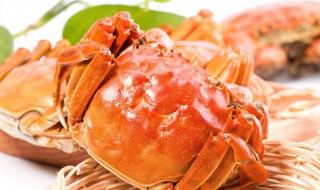 大闸蟹苦还能吃吗（大闸蟹苦还能吃吗怎么吃）