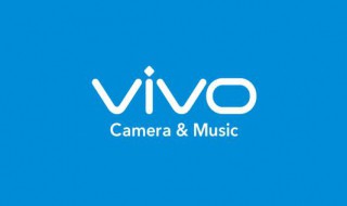 vivoz5支持内存卡扩展吗 vivoz5可以扩展内存吗