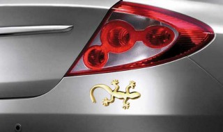 车上的壁虎代表什么（车子上的壁虎是什么意思）