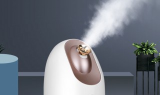 蒸脸器怎样用可以达到补水效果（蒸脸器怎样用可以达到补水效果呢）