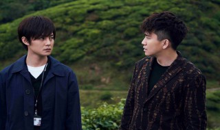 原生之罪还有第二季吗 原生之罪有没有第2季