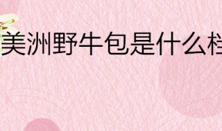 美洲野牛包是什么档次（美洲野牛包质量咋样）