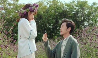 蓬莱间阿秀是谁的孩子（蓬莱间姑姑是哪一集）