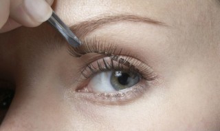 睫毛开花嫁接手法有哪些技巧 睫毛开花嫁接手法有哪些技巧图解