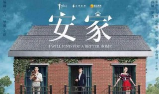 安家电视剧销售心得（安家电视剧销售观后感）