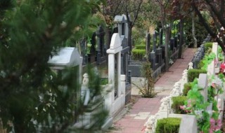 上坟有什么讲究 上坟有什么讲究老人是否能去