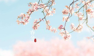 春分有哪些花会开（春分有哪些花会开放）