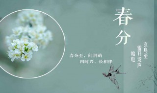 关于春分的诗句（关于春分的诗句和图画）