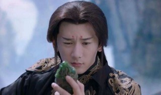 燕池悟和子阑长得一样吗 燕池悟和子阑是双胞胎