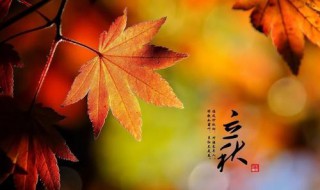 关于立秋的优美句子（关于立秋的优美句子感叹生活不易）