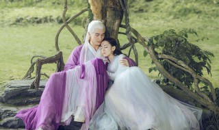 三生三世枕上书之后还有吗（三生三世枕上书还有下一部吗?）