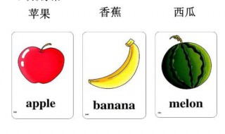 none of us是单数还是复数 none of us用法