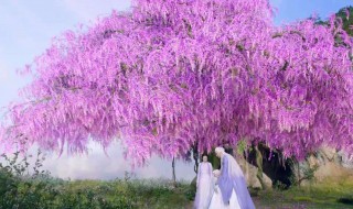 渺落结局是如何死的 渺渺结局是什么