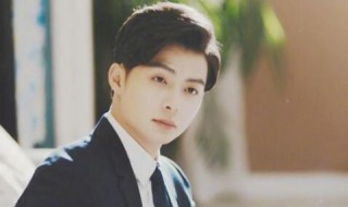 张日山结局是和梁湾在一起了吗（张日山结局是和梁湾在一起了吗视频）