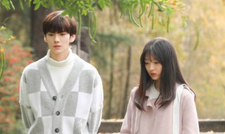 淑女飘飘拳一共有多少集 淑女飘飘拳大结局视频