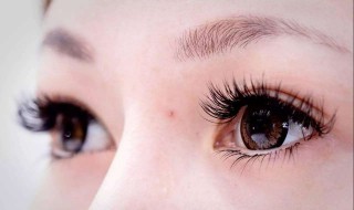 假睫毛怎么贴更自然 假睫毛怎么贴更自然视频