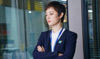 安家房似锦挨打第几集（安家房似锦父亲撞人第几集）