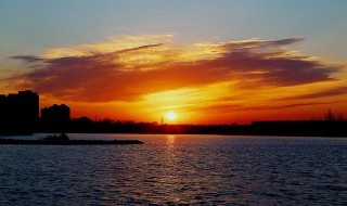 日出东方催人醒出处（日出东风催人醒）