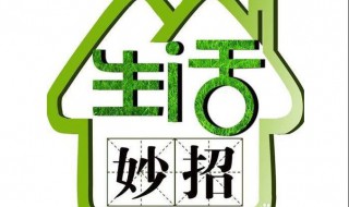 种植小妙招（种植小妙招视频）